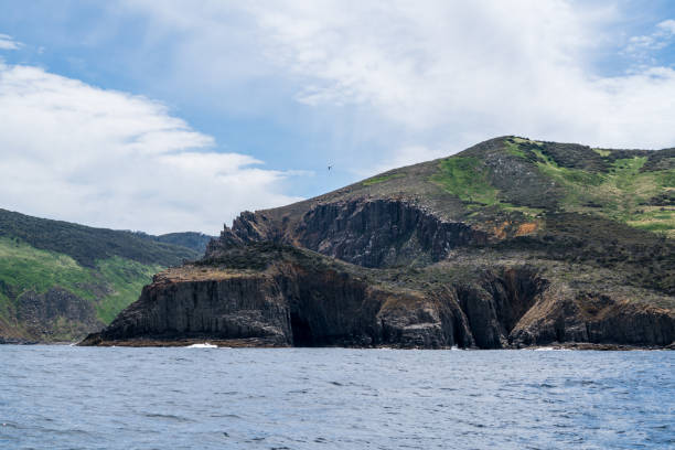istock Tasmania sea cliff 825371394