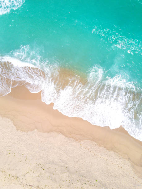 istock Aerial view of sandy beach and ocean with waves 825372404