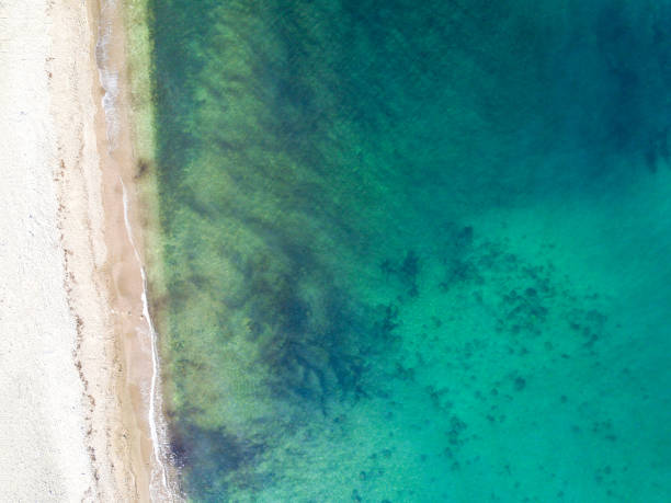 istock Aerial view of sandy beach and ocean 825372904