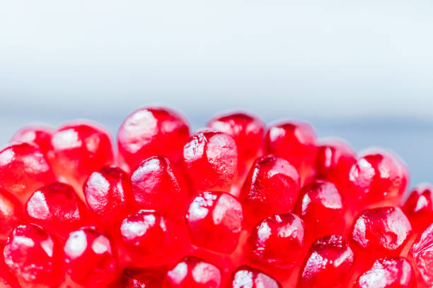 pomegranate fruit segment on dark vintage background  with copy space - usa restaurant flower bed beauty in nature imagens e fotografias de stock