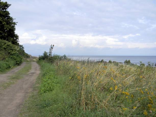 istock Narrow Road by the Baltic 825385904