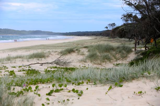 istock The beaches of Byron Bay 825387164