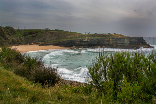 istock Lame in Ericeira Portugal. 825390134