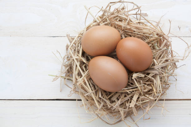 istock egg in nest on dark vintage wooden background 825391340