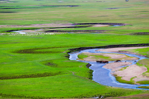 istock Horse on wide grassy plains 825394458