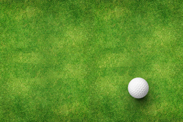 golfball auf rasen-draufsicht - golf landscape golf course tree stock-fotos und bilder