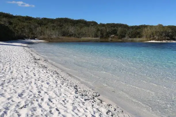 Blue Lake at Fraser Island of the coast of Queensland Australia