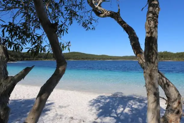 Blue Lake at Fraser Island of the coast of Queensland Australia