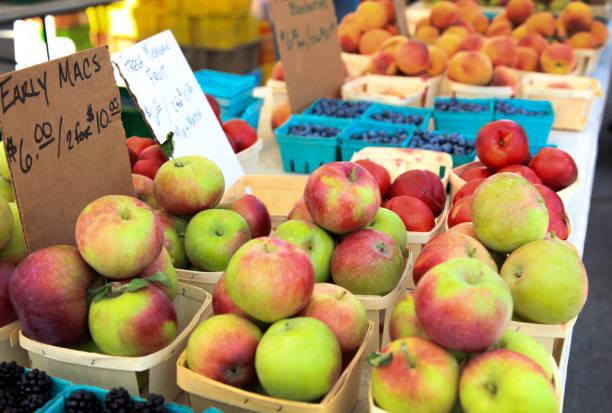 istock Fruit Stall at Farmer's Market 825405080