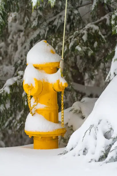 Photo of Fire hydrant with snow
