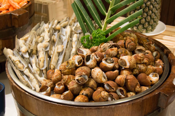 istock razor clam seafood on ice 825409110