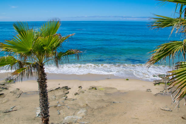 istock Beautiful Heisler Park, Laguna Beach, California 825409132