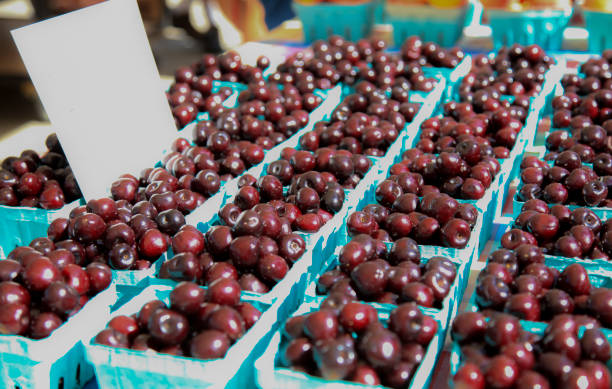 Fresh Cherries at Farmer's Market