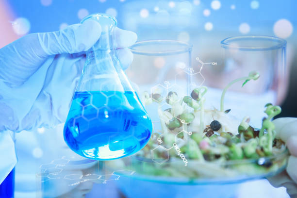 istock scientist with equipment and science experiments ,Laboratory glassware containing chemical liquid, science research,science background and science concept. 825410178