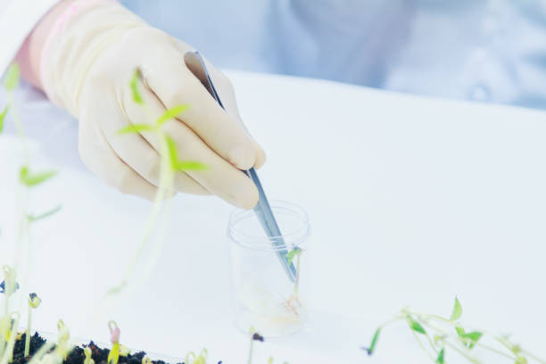 istock scientists working at the laboratory,scientist leaning against the whiteboard in laboratory,scientist background,male scientist looking in laboratory,scientists studying of science concept and selective focus. 825410214