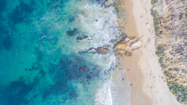 istock Aerial View of Crystal Cove State Beach 825416278