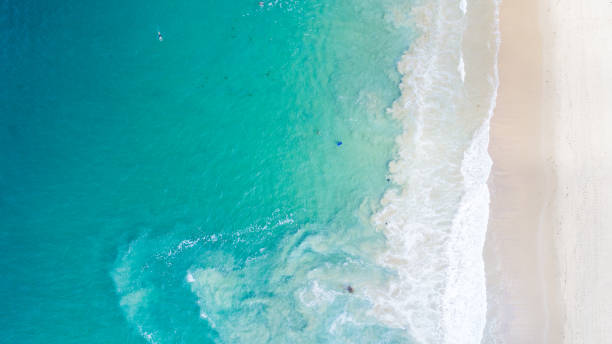 istock Aerial View of Crystal Cove State Beach 825416454