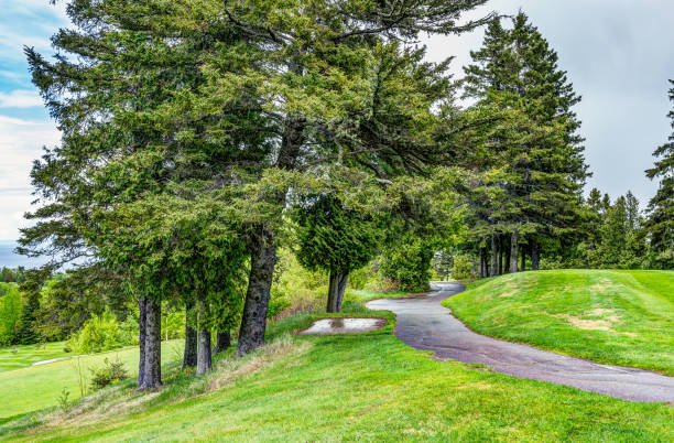 landschaftsansicht der grünen golfplatz mit hügeln im sommer in la malbaie, quebec, kanada in der region charlevoix - lawrence quebec canada north america stock-fotos und bilder