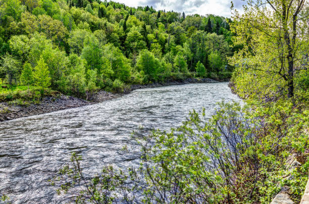 istock Petit Saguenay river in Quebec, Canada during bright green summer 825424556