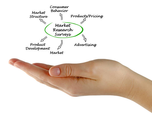 istock Market Research Surveys 825427792