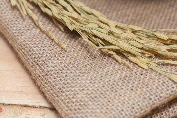 ear of rice on sack