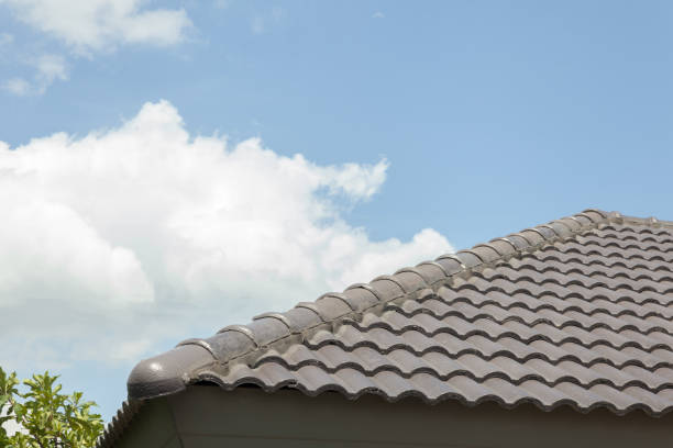 istock roof of modern house 825428266