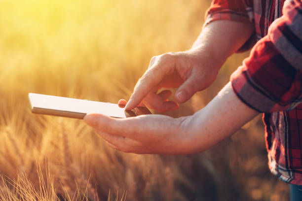 istock Female farmer standing in wheat field and using mobile phone 825428462