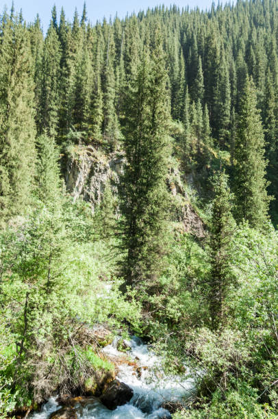 istock Tien Shan mountains. Assy plateau 825428898