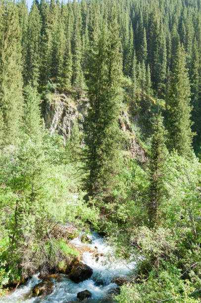 istock Tien Shan mountains. Assy plateau 825429006