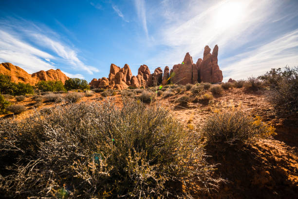 The Devils Garden, Arches National Park, Utah, USA, North America. The sunny October's day, fall.
