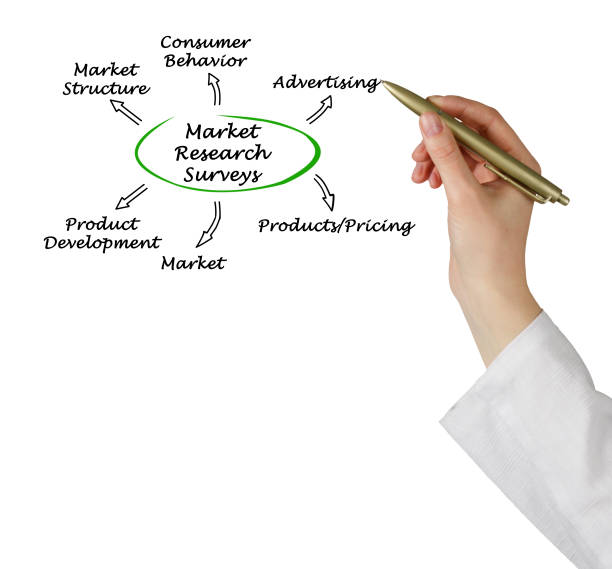 istock Market Research Surveys 825431720