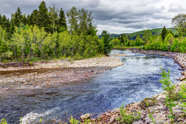 istock Petit Saguenay river in Quebec, Canada during bright green summer with curve 825431758