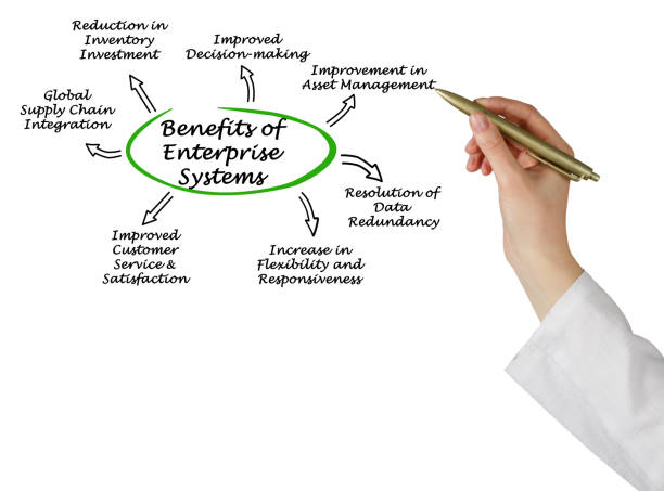 istock Benefits of Enterprise Systems 825436756