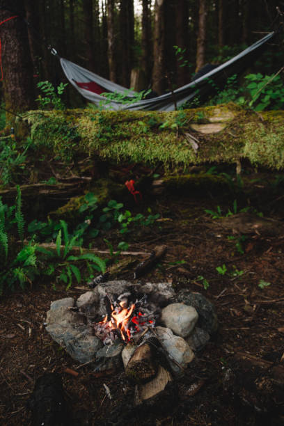 istock Camping in the rainforest with hammock and campfire 825442532
