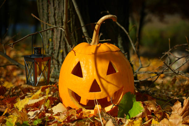 istock pumpkin-head against a background of an autumn forest 825443276