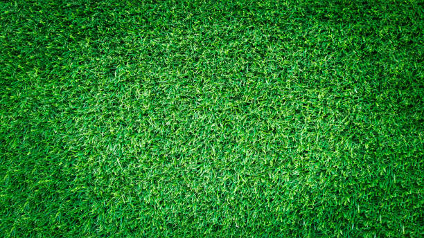 istock Artificial green grass texture for golf course. soccer field or sports background concept design. 825443344