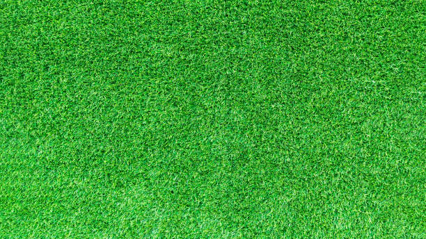 istock Artificial green grass texture for golf course. soccer field or sports background concept design. 825443398