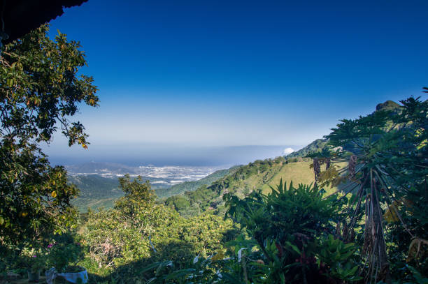 View on green mountain landscape by Minca in Colombia