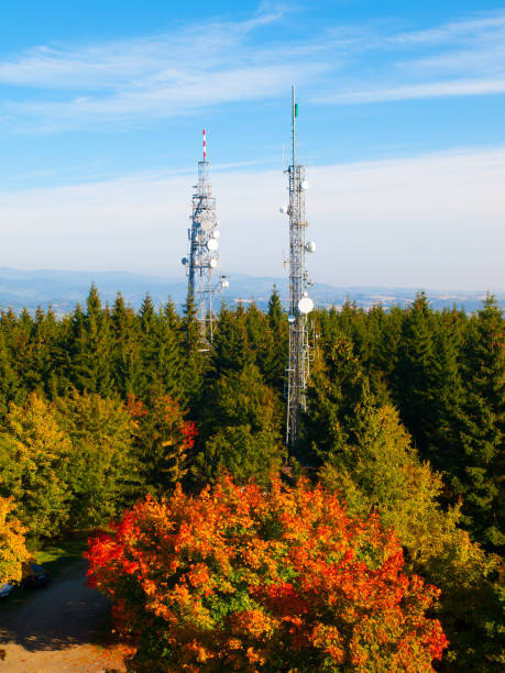 istock Two transmission towers in autumn forest 825446498