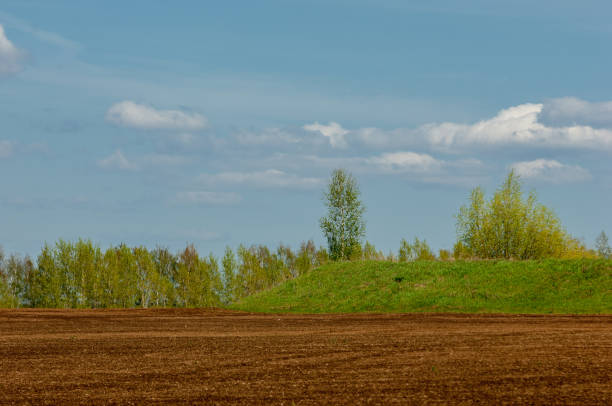 Green landscape.sunset on spring field.  Sunlight in the green forest, spring time. Green meadow under blue sky with clouds.