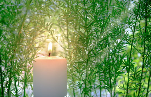 Little white candle lies with green leaves with soft light effect. Religion concept and relax or meditation caption.