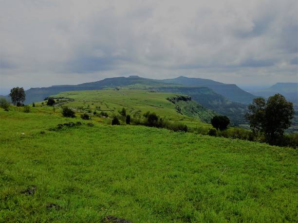 istock green meadow in mountain 825447250