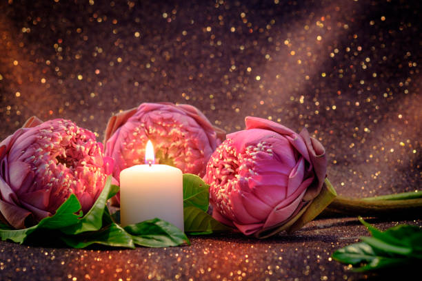 Vintage image style on pink water lily or lotus flower folding thai style with white candle light for worship with red bokeh background Vintage image style on pink water lily or lotus flower folding thai style with white candle light for worship with red bokeh background. pink memorial candle with flowers stock pictures, royalty-free photos & images