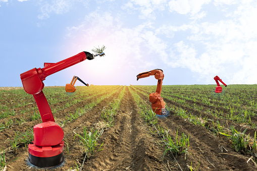 iot, internet of things, agriculture concepts, Farmer use smart farm robot assistant to work in the farm , to detect the weed ,spray the chemical use robot for replace worker and increase efficiency