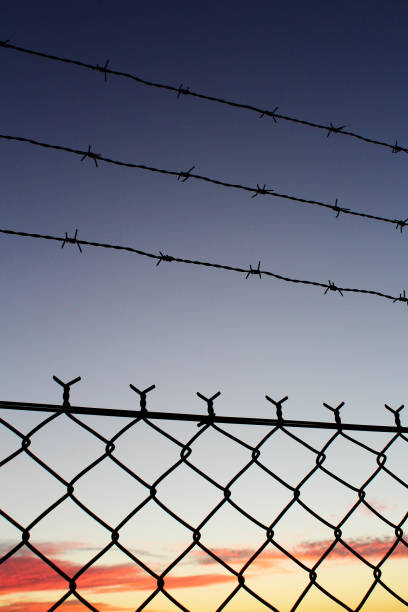 istock Barbed wire fence at dusk 825454274