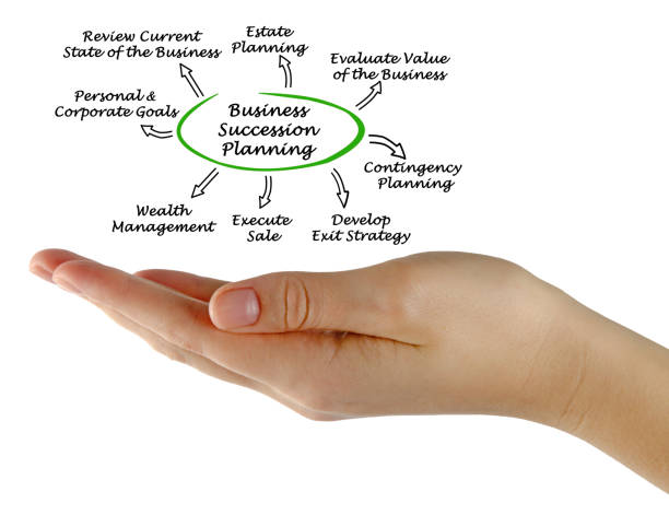 istock Business Succession Planning 825457154