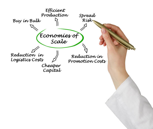 istock Economies of Scale 825465236
