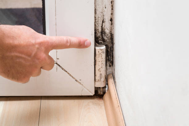 istock Hand pointing to the mold in the window corner. 825465562