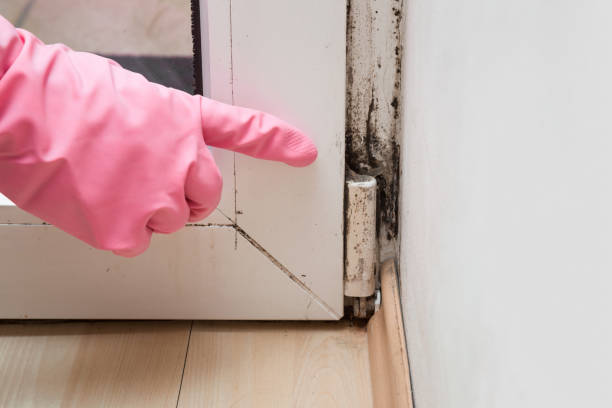istock Hand in rubber protective glove pointing to the mold in the window corner. 825467606