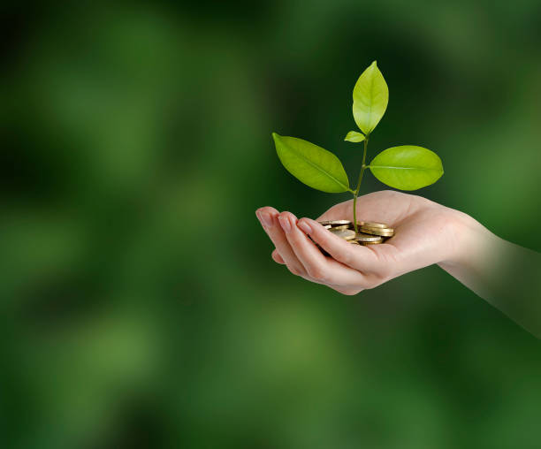 istock Investing to green business 825467732
